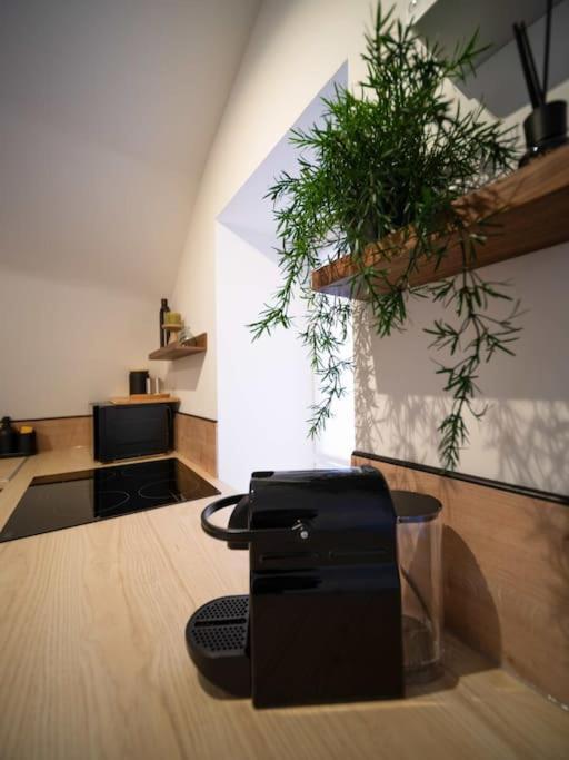 Le Cocon - Petit Studio 2 Couchages - Centre Historique โอบาญ ภายนอก รูปภาพ